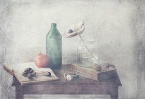Arranjo de natureza morta vintage de Delphine Devos