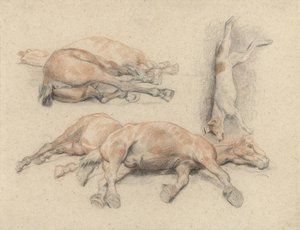 Estudos de um cadáver de cavalo e de um cão morto enforcado de Denis Auguste Marie Raffet