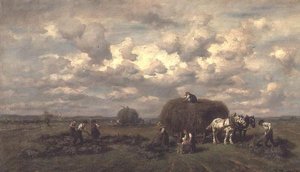 Colheita de Desire Tomassin