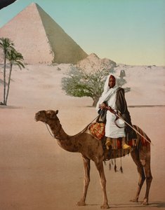 Beduíno em um camelo e a Grande Pirâmide, Cairo, Egito