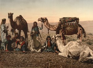 Camelos parando no deserto, Terra Santa, c.1890 (impressão fotomecânica) de Detroit Photographic Co.