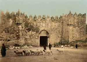 A Porta de Damasco, Jerusalém, Terra Santa, c.1890-c.1900 (fotocópia)