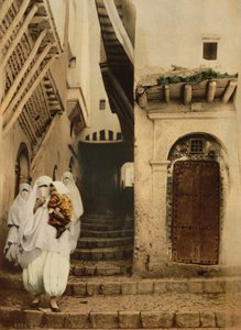 Rua dos camelos, Argel, c.1899 (photochrom) de Detroit Publishing Co.