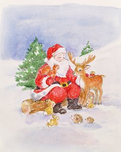 Papai Noel e amigos