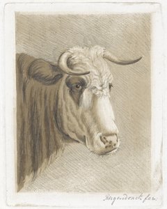 copo de biscoito de Diederik Jan Singendonck (signed by artist)