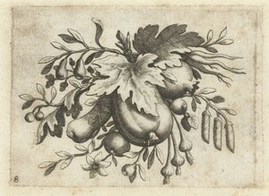 Festoen van vruchten
Fruchtenbuchlein zum Reisen dienlich (título da série) de Dietrich Krüger (attributed to)