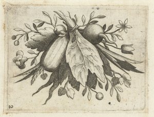 Festoen van vruchten
Fruchtenbuchlein zum Reisen dienlich (título da série) de Dietrich Krüger (attributed to)