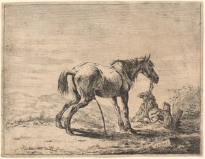 Criando cavalo perto de um estábulo de Dirck Stoop