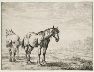 Dois cavalos de charrua.