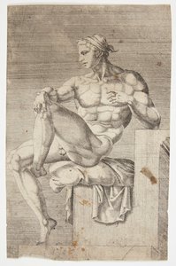 Nu da Capela Sistina de Dirck Volckertsz. Coornhert