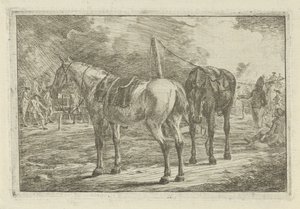Dois cavalos selados em um acampamento do exército de Dirk Langendijk
