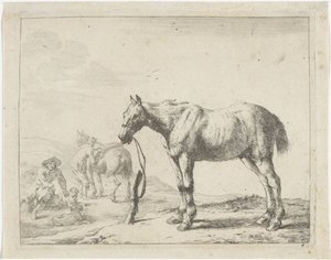 Cavalo amarrado a um poste virado para a esquerda
Cavalos (título da série)