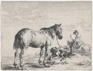 Cavalo amarrado a um poste
Cavalos (título da série)