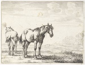 Dois cavalos numa paisagem
Cavalos (título da série)