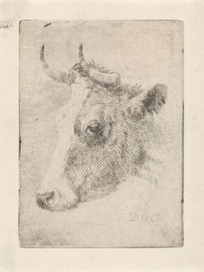Cabeça de um touro de Dirk van Oosterhoudt