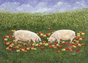 Porcas de maçã de Ditz