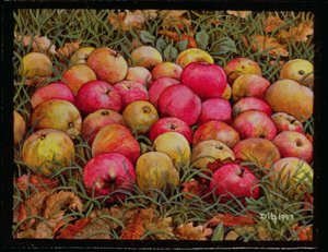 Maçãs de Durnitzhofer, 1993 de Ditz