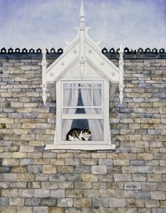 Gato de Dormer do St.Helier de Ditz