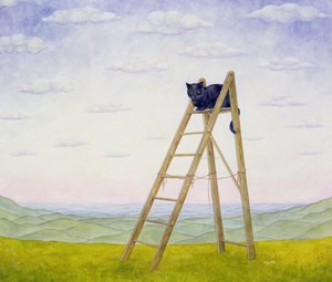 O gato da escada de Ditz