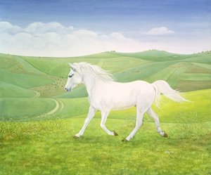O cavalo da paisagem
