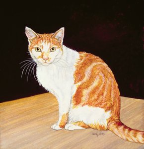 Thomas de Ditz