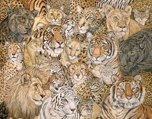 Cat-Spread Selvagem, 1992 de Ditz