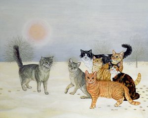 Gatos De Inverno de Ditz