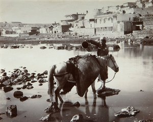 Um lugar de rega, década de 1880