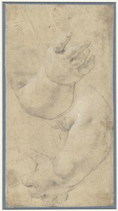Estudo de dois braços de crianças de Domenichino