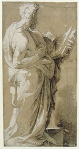 Apóstolo de Domenico Beccafumi