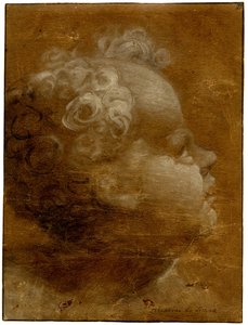 Beccafumi - Cabeça de uma criança olhando para cima, de perfil para a direita Pincelada a óleo cinzento-castanho e branco, sobre papel preparado castanho, com linhas recortadas, 1528 (circa) de Domenico Beccafumi