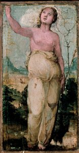Figura feminina. Pintura de Domenico Beccafumi (1486-1551). Siena, Conservatorio de Domenico Beccafumi