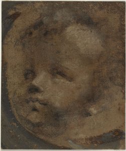 Cabeça de um putto de Domenico Beccafumi