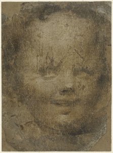 Cabeça da criança de Domenico Beccafumi