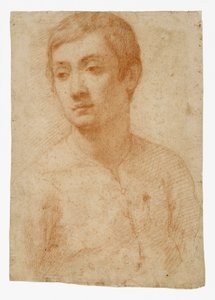 O Chefe de uma Juventude, c.1600-25 (giz vermelho sobre papel) de Domenico Cresti