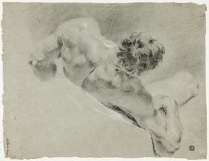 Nu masculino visto de costas de Domenico Maggiotto