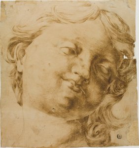 Cabeça de uma criança de Domenico Peruzzini