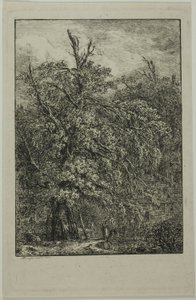 Grande árvore de Domenico Quaglio
