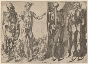 Esqueletos e Esfolados, c. 1540-1545.
