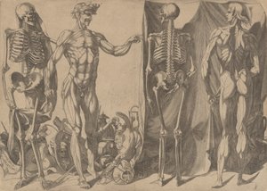 Dois homens esfolados e seus esqueletos, ca. 1540-45.