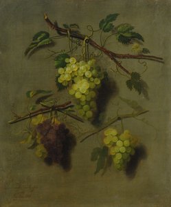 Ainda vida, 1738 de Dominicus Van der Smissen