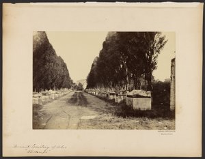 [Cemitério antigo de Arles, "Alyscamps"] de Dominique Roman