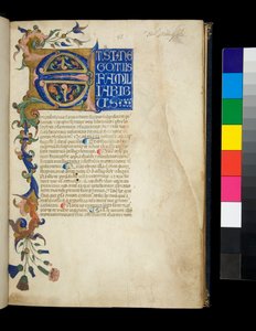 Sra. 373. Pseudo-Cicero, Rhetorica ad Herennium, e outras obras, f.1r. Iluminação inicial [E] e borda parcial com decoração de folha de acanto e flor, primeira linha de texto em maiúsculas brancas sobre fundo azul, c.1337 (pergaminho)