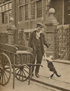 Um dos negócios mais bem estabelecidos: um cliente e o homem da carne de gato, c1935. de Donald McLeish