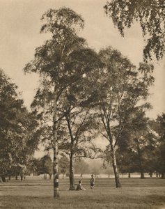 O trabalho de renda das folhas: uma manhã de verão no Hyde Park, c1935. de Donald McLeish