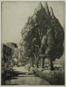 O bosque de ciprestes de Donald Shaw MacLaughlan