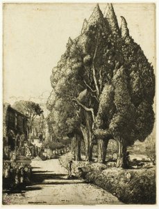 O bosque de ciprestes de Donald Shaw MacLaughlan