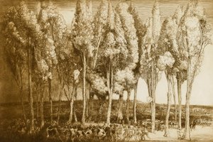 A dança da primavera de Donald Shaw MacLaughlan