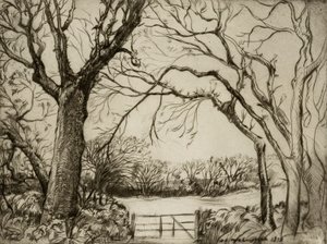 Tragenna Wood de Donald Shaw MacLaughlan