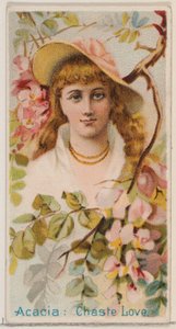 Acacia: Chaste Love, da série Floral Beauties and Language of Flowers N75 para Duk..., 1892.
